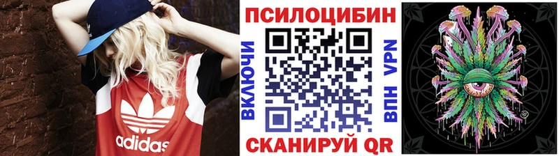 где найти   Тайшет  Псилоцибиновые грибы Psilocybe 